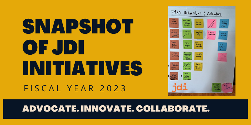 Snapshot of JDI Initiatives Fiscal Year 2023